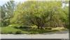 1411 Duck Road
 Duck NC 27949