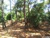 876 Sea Ridge Drive
 Corolla NC 27927